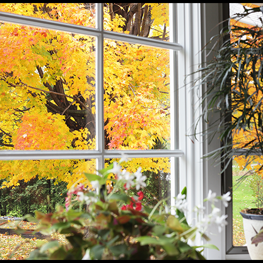 A Fall window. 5 Tips to Improve Your Indoor Air Quality This Fall.